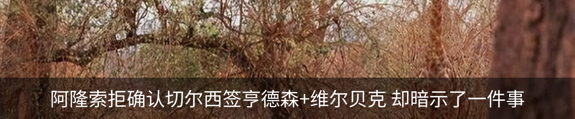 内页banner
